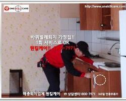 바퀴벌레 현장에서 -3월