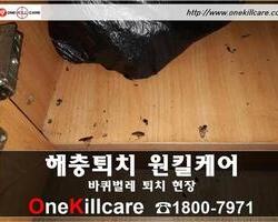 바퀴벌레퇴치 현장-2월 