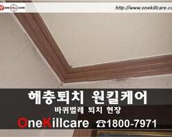 바퀴벌레퇴치 현장-2월 