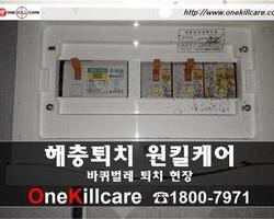 바퀴벌레퇴치 현장-2월 