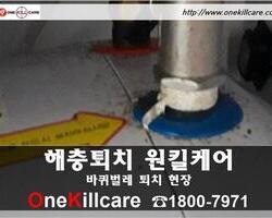 바퀴벌레퇴치 현장-2월 