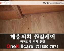 바퀴벌레퇴치 현장-2월 