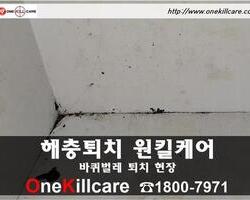 바퀴벌레퇴치 현장-2월 