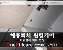 바퀴벌레퇴치 현장-2월 