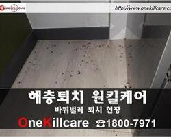 바퀴벌레퇴치 현장-2월 