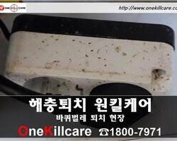 바퀴벌레퇴치 현장-2월 