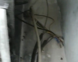 2월_쥐퇴치 현장