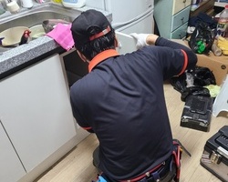 기숙사 바퀴벌레퇴치_5월