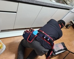 기숙사 바퀴벌레퇴치_5월