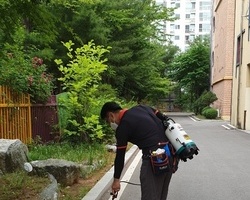 학교 방역소독 작업현장