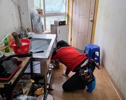 기숙사 바퀴벌레퇴치