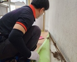 바퀴벌레퇴치 작업현장_가정집 퇴치