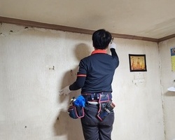 바퀴벌레퇴치 작업현장_가정집 퇴치