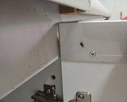 바퀴벌레퇴치 현장_현장 서식지 확인 및 점검