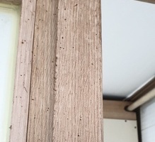 바퀴벌레퇴치 현장_작업중 바퀴벌레 흔적