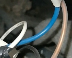 여름철 천장쥐퇴치 작업 현장_쥐흔적들?!