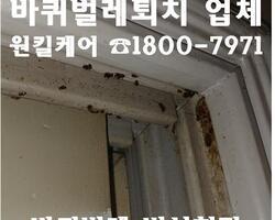바퀴벌레 퇴치 현장_가정집