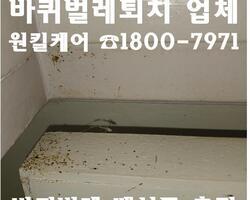 평택 바퀴벌레 퇴치 현장_가정집