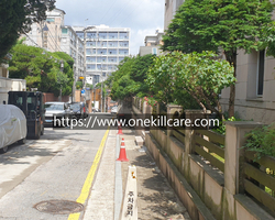 서울 강남구 논현동 가정집 바퀴벌레퇴치 작업