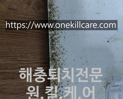 오산 궐동 빌라바퀴벌레퇴치 작업 현장