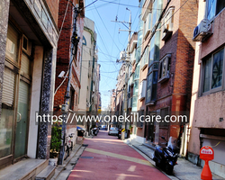 서울 구로동 가정집 빌라 바퀴벌레퇴치 작업 현장