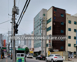 인천 미추홀구 숭의동 가정집 아파트바퀴벌레퇴치 작업
