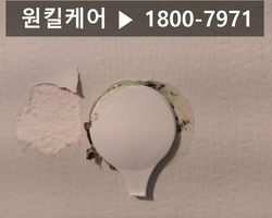 포항 남구 대도동 빌라 바퀴벌레퇴치 작업