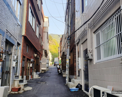 천안 동남구 원성동 빌라 바퀴벌레퇴치 현장_01