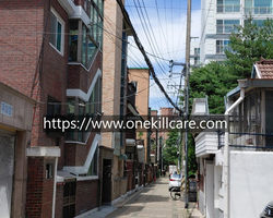 서울 동대문구 휘경동 바퀴벌레퇴치 