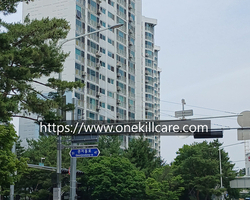 대전 서구 관저동 가정집 바퀴벌레퇴치