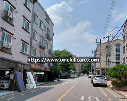 인천 서구 원당동 원룸 바퀴벌레퇴치 작업 