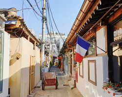 서울 종로구 익선동 한옥거리 쥐퇴치
