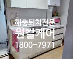 수원 영통구 원천동 원룸 바퀴벌레퇴치 작업 