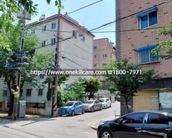 부천시 오정구 가정집 빌라바퀴벌레퇴치 작업 