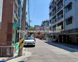 안산 상록구 일동 빌라 전체 바퀴벌레방역 퇴치 작업 