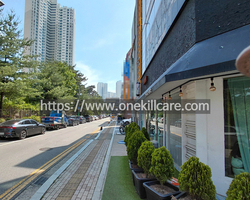 인천 남동구 상가바퀴벌레퇴치 작업 현장