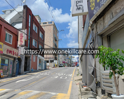 성남 중원구 상대원동 상가주택 바퀴벌레퇴치 작업